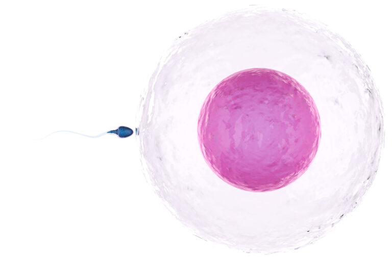 IVF Treatment