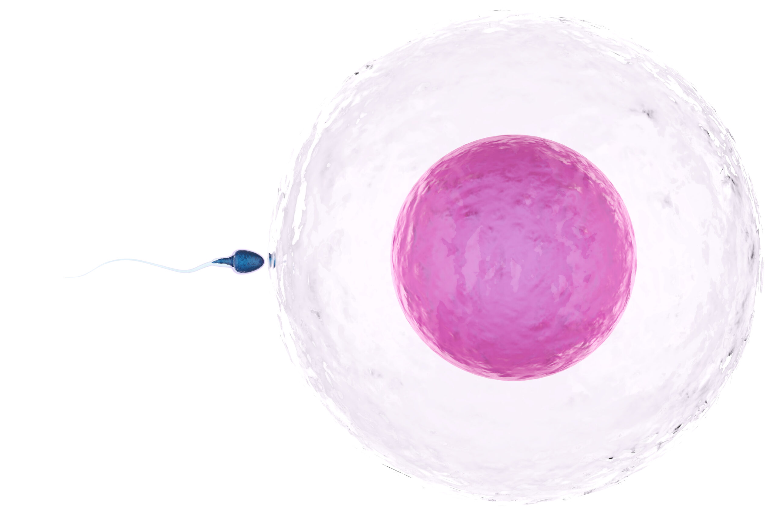 IVF Treatment